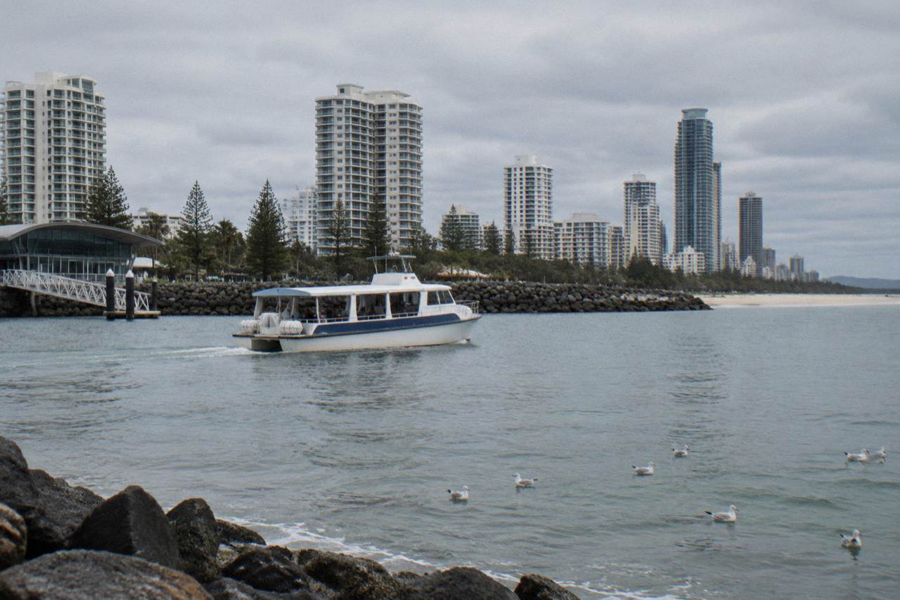 A whale watching boat on open water near the Gold Coast shoreline