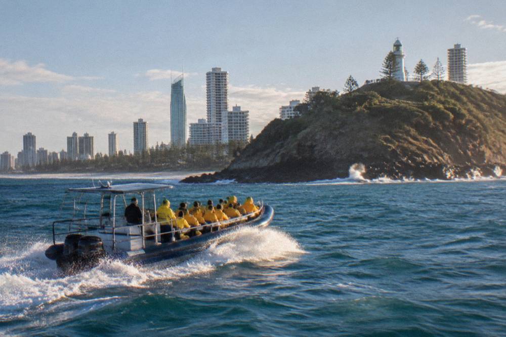 A small safari-style whale watching boat at speed on open ocean near a headland